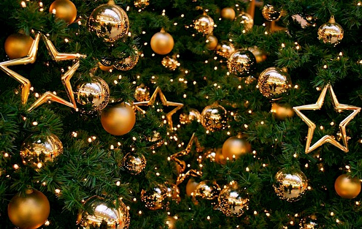 Know Everything about Christmas Tree and its Origin | Omilights