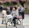 bicyle rules japan