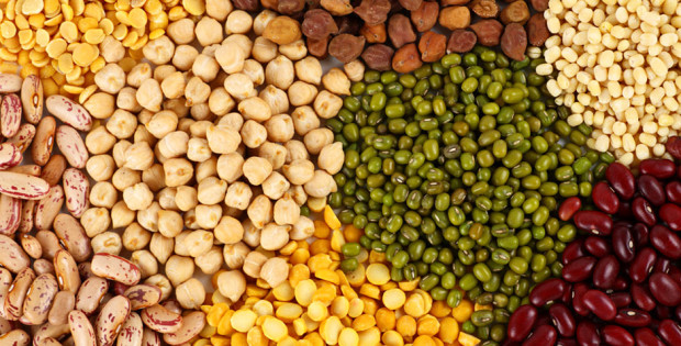 International year of pulses 2016