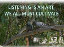 listening art