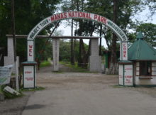 Manas-national-park