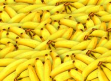 Bananas Benefits