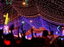 new Year Celebration