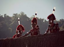 hornbill-festival