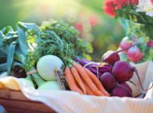 fiber in food