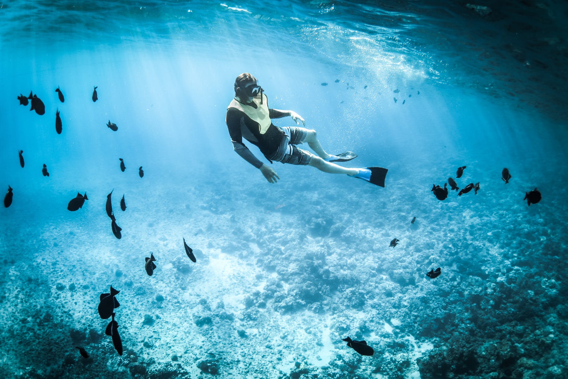 ecotourism-activities