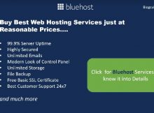 bluehost service provider