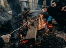 5 Must-Have Camping Essentials