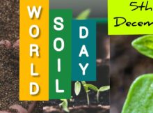soil day 5th December
