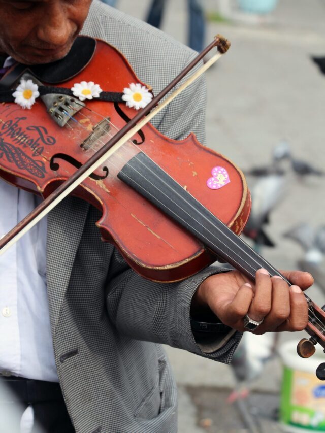 13 December-Significance of National Violin Day