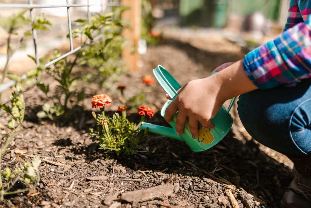 mulching plants
