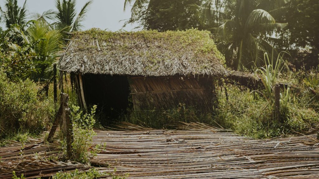 plants shelter