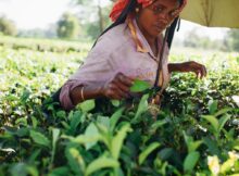 best schemes for women in india