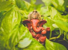 ganesh-ji birthday
